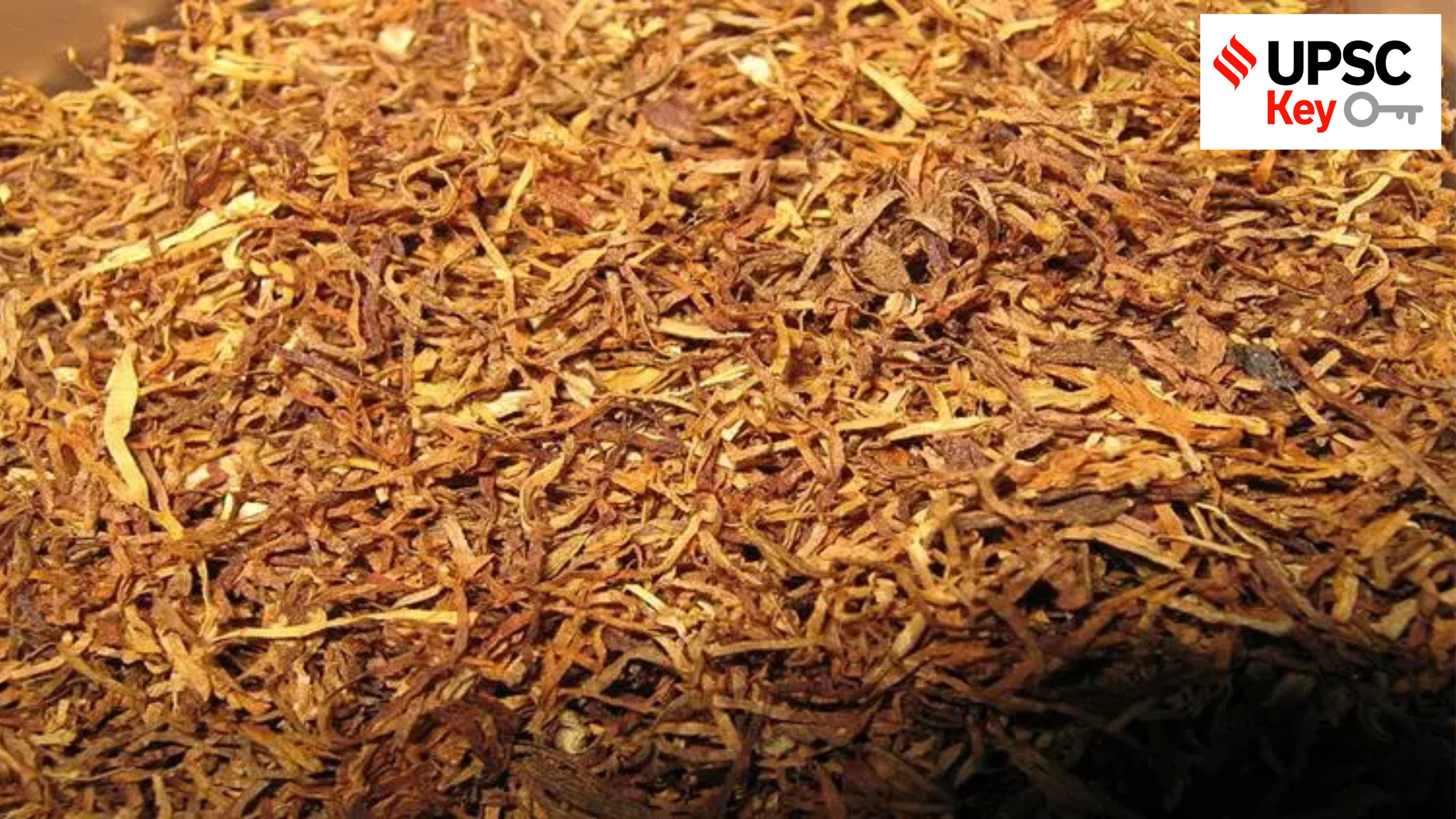 UPSC Key: Tobacco Consumption in India, Madman Theory and Marine Spatial Plan