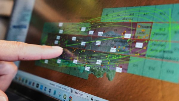 Dinamarca Nelson Navio