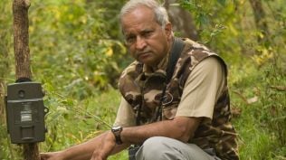 Currently, Ullas Karanth is working on his personal memoirs, which are set to come out later this year under the title Tiger Memories.