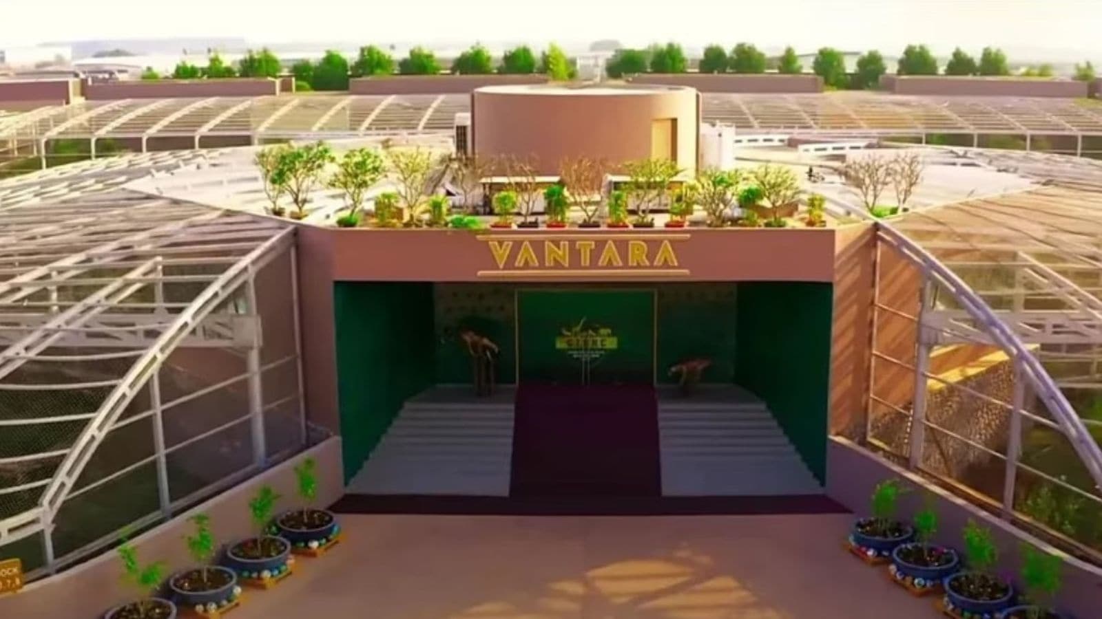 ‘Humane alternative’: Send 80 hippos set for culling to Vantara: Anant Ambani urges Colombian government in letter