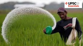 West Asia War, agriculture, food security