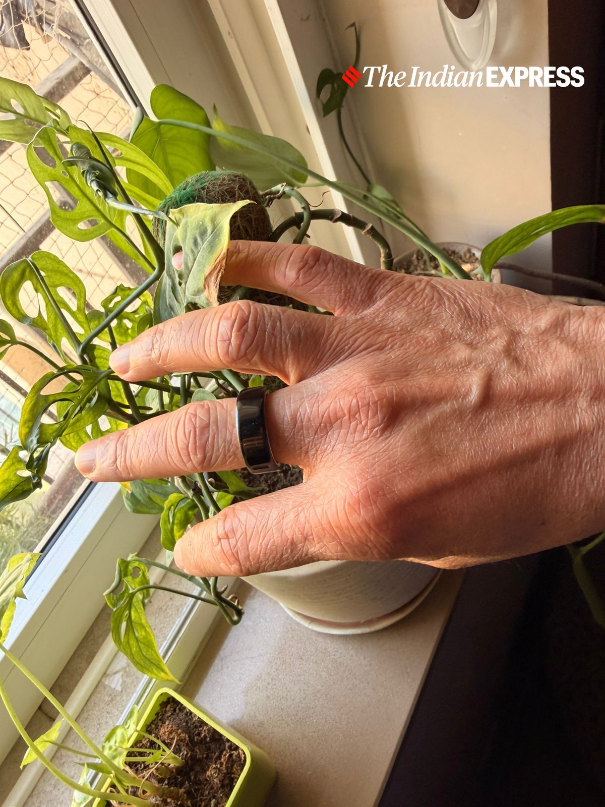 Worn like a regular ring, the device stays comfortable throughout the day and night, enabling continuous, unobtrusive health tracking. (Image: Nandagopal Rajan/The Indian Express)
