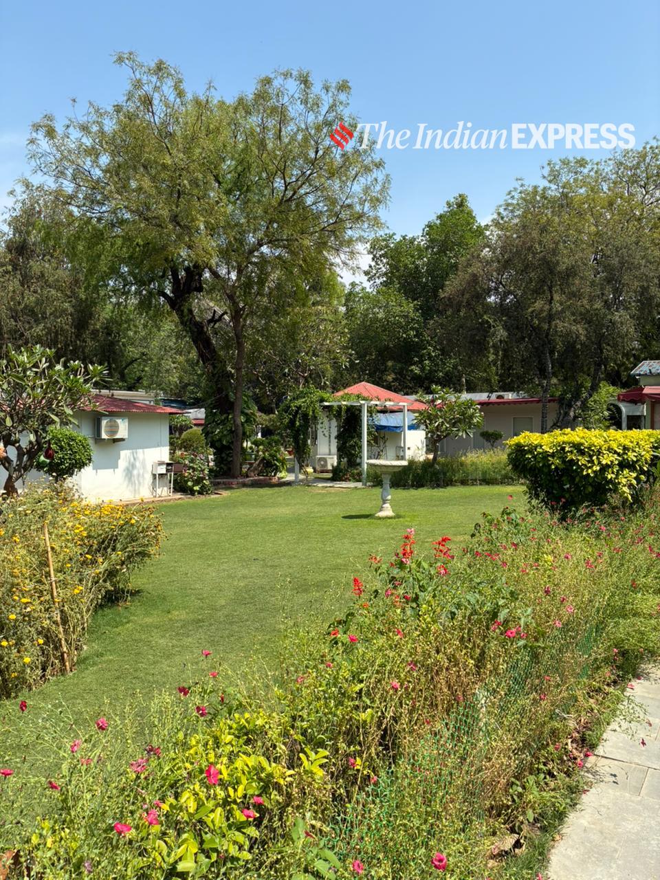 iPhone 17e photography