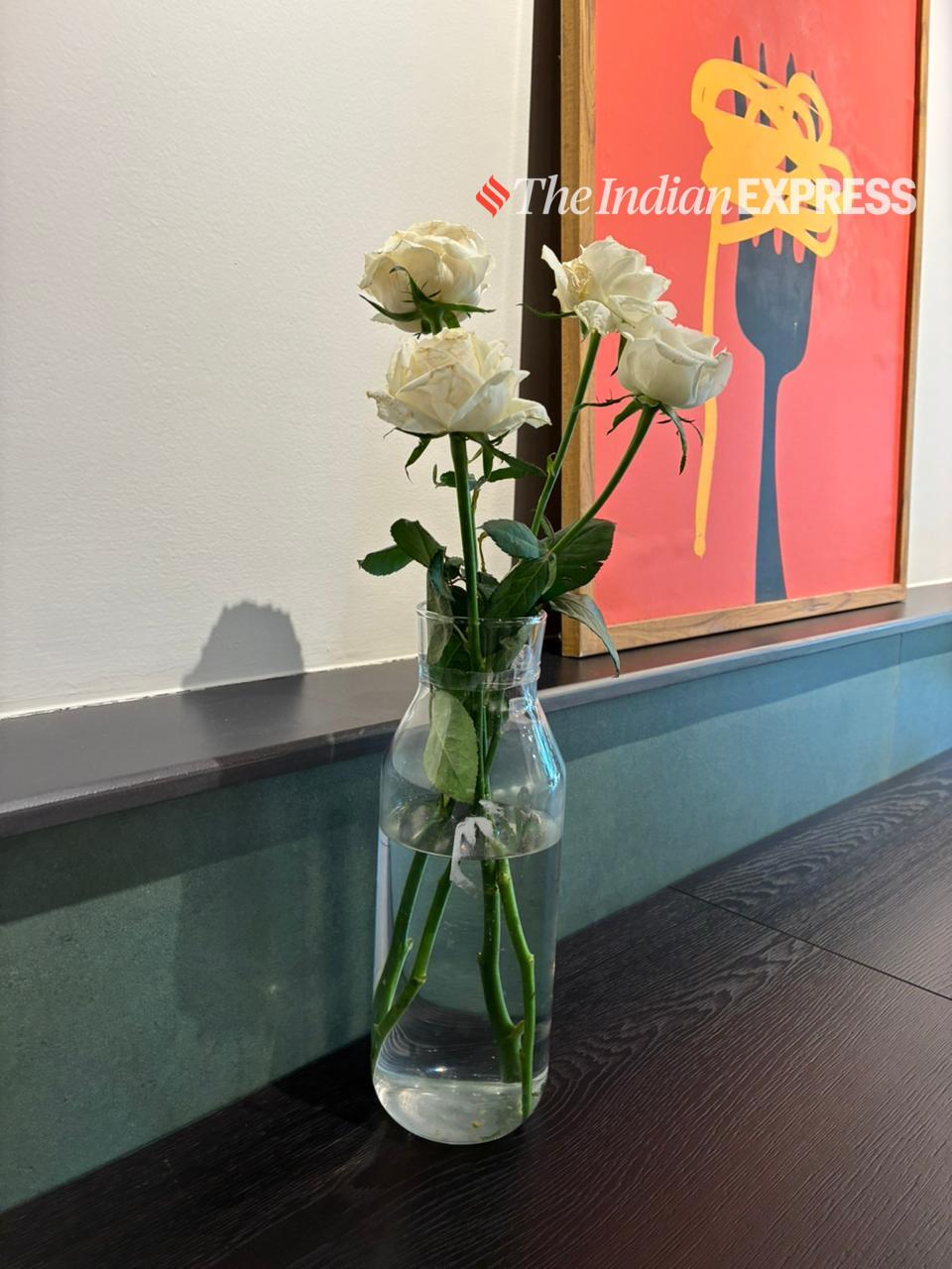 iPhone 17e photography