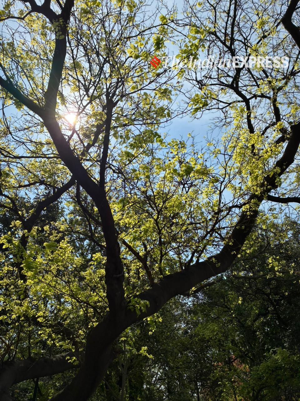 iPhone 17e photography