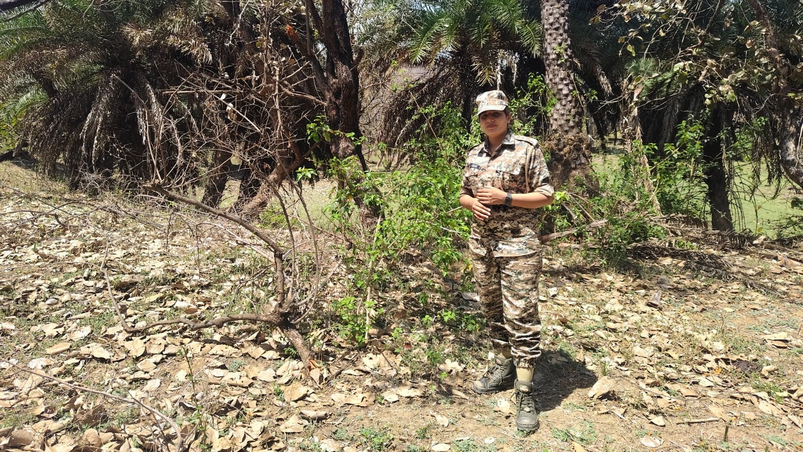 The Art of Baking: From Classic Bread to Artisan Pastries