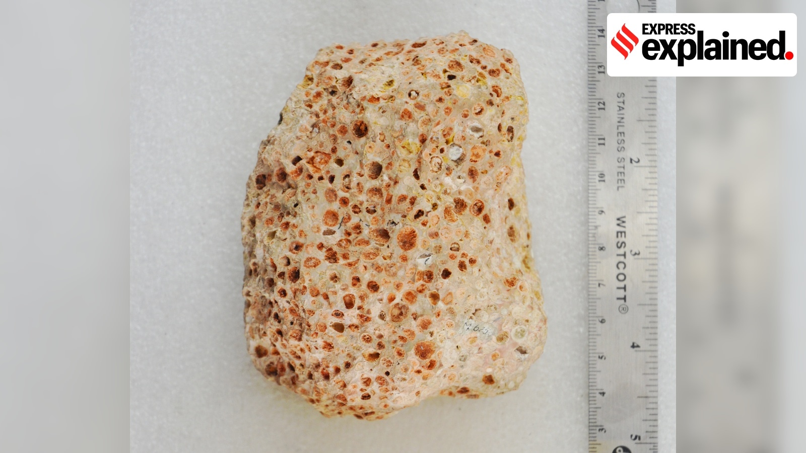 In Odisha clashes between police  & tribals, bauxite mining in focus