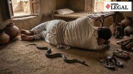 chhattisgarh high court snakebite payout