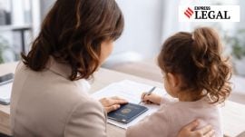 child custody karnataka high court
