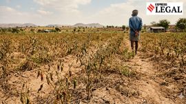 consumer commission crop loss
