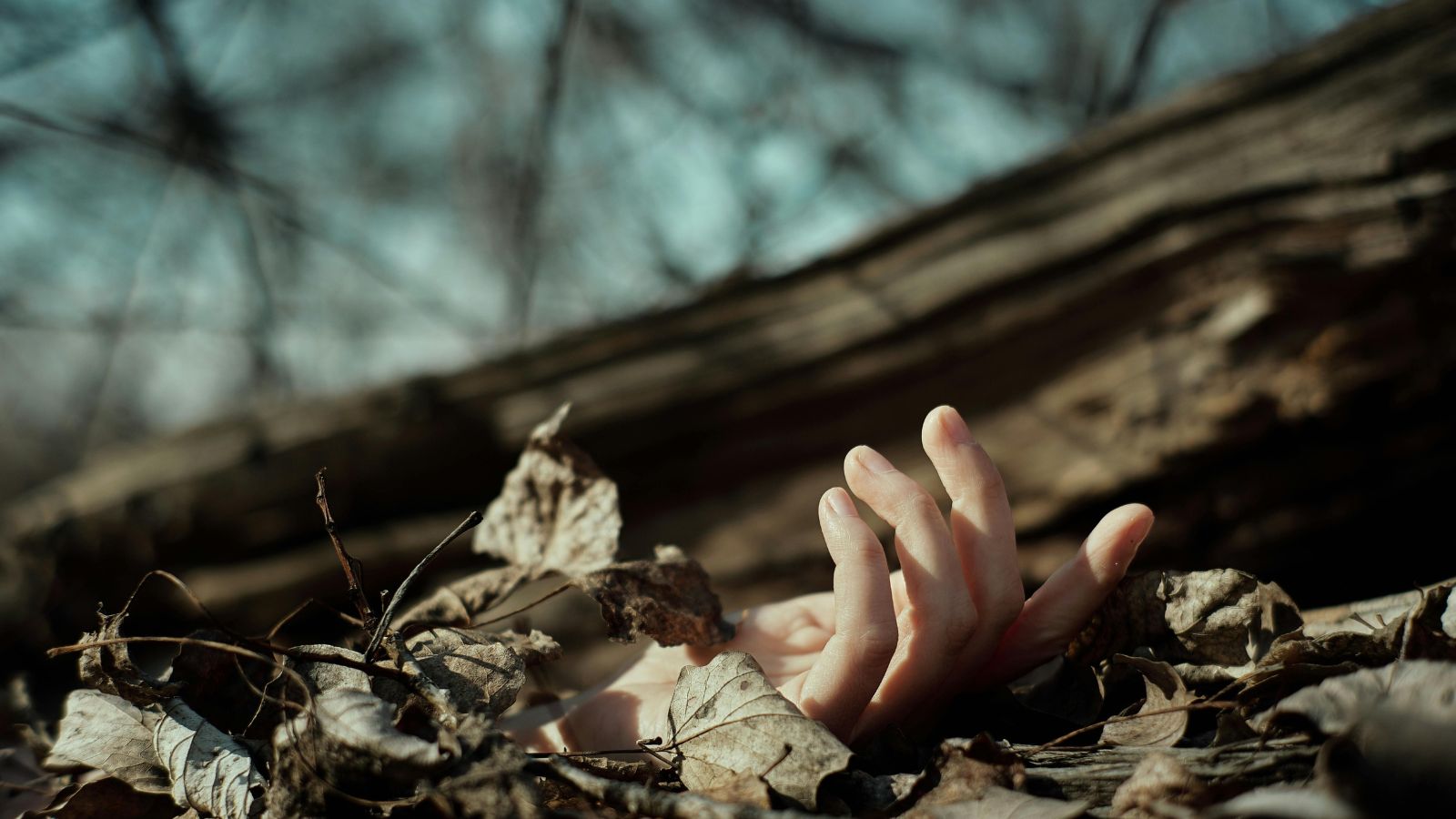 The Art of Baking: From Classic Bread to Artisan Pastries