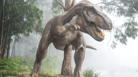 dinosaurs