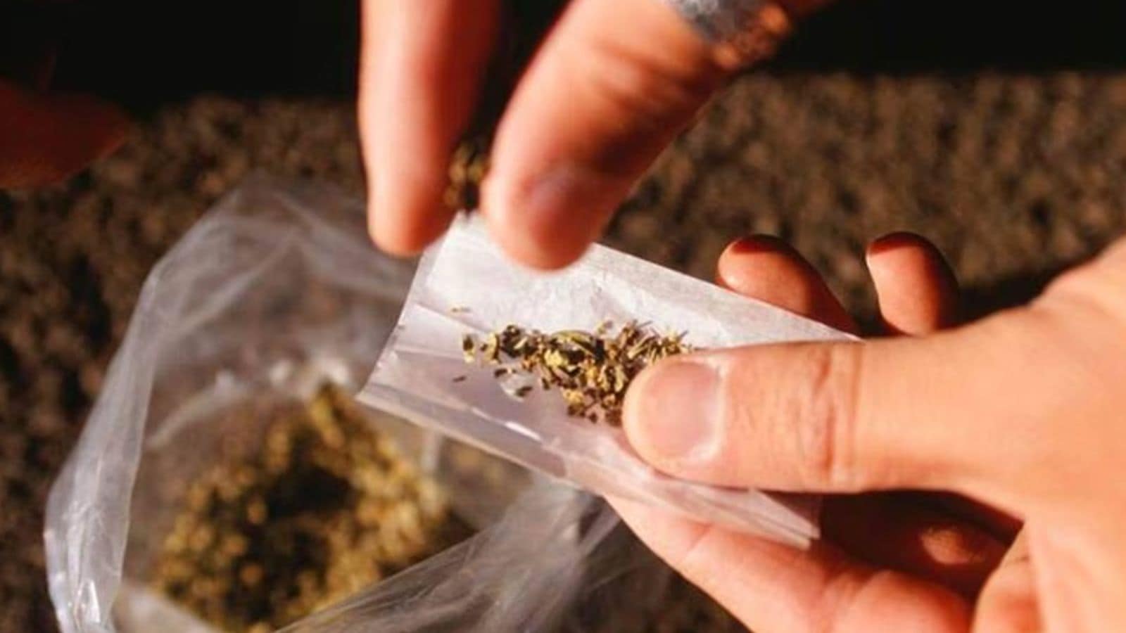 Drug crackdown in Kashmir: 20 hotspots raided in Anantnag, properties of ‘kingpins’ under scanner