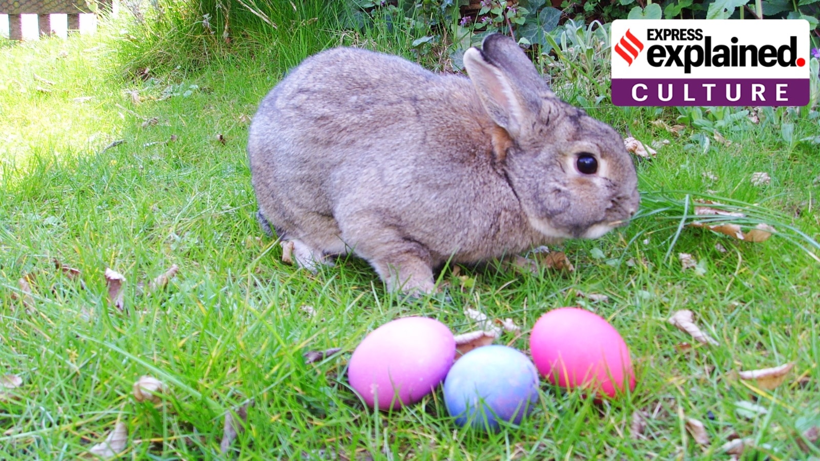 On Easter Sunday, recalling the history of its popular symbols — from chocolate eggs to rabbits On Easter Sunday, recalling the history of its popular symbols — from chocolate eggs to rabbits