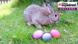 Easter: Chocolate was unknown to Europe until the 17th century, when it was brought from Central and South America.
