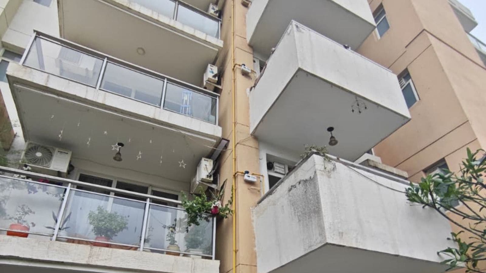 The Art of Baking: From Classic Bread to Artisan Pastries