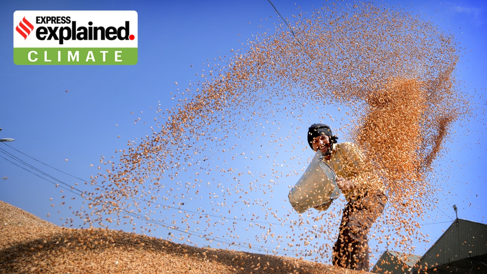 The Art of Baking: From Classic Bread to Artisan Pastries
