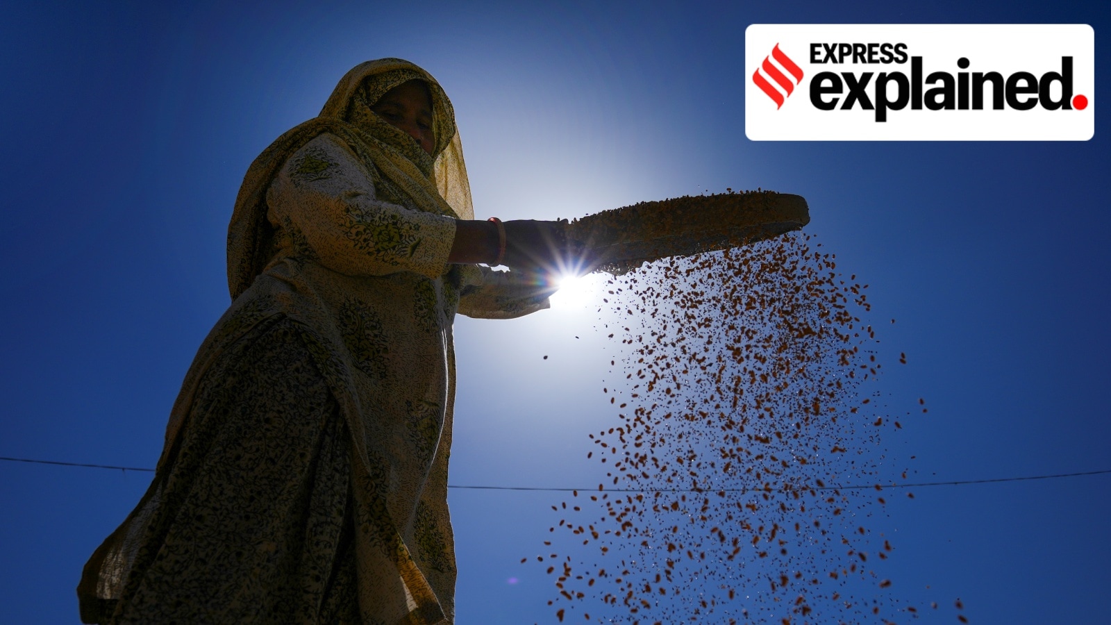 PMB Connect: How an app aims to be Punjab’s one-stop digital platform for agricultural community