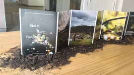 The exhibit on display at Bengaluru's Science Gallery on the theme, Walk Into a Fragmented Forest'. It visualises data on forest edges in an audiovisual form. (Express photo)