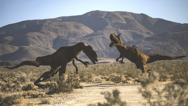 animals