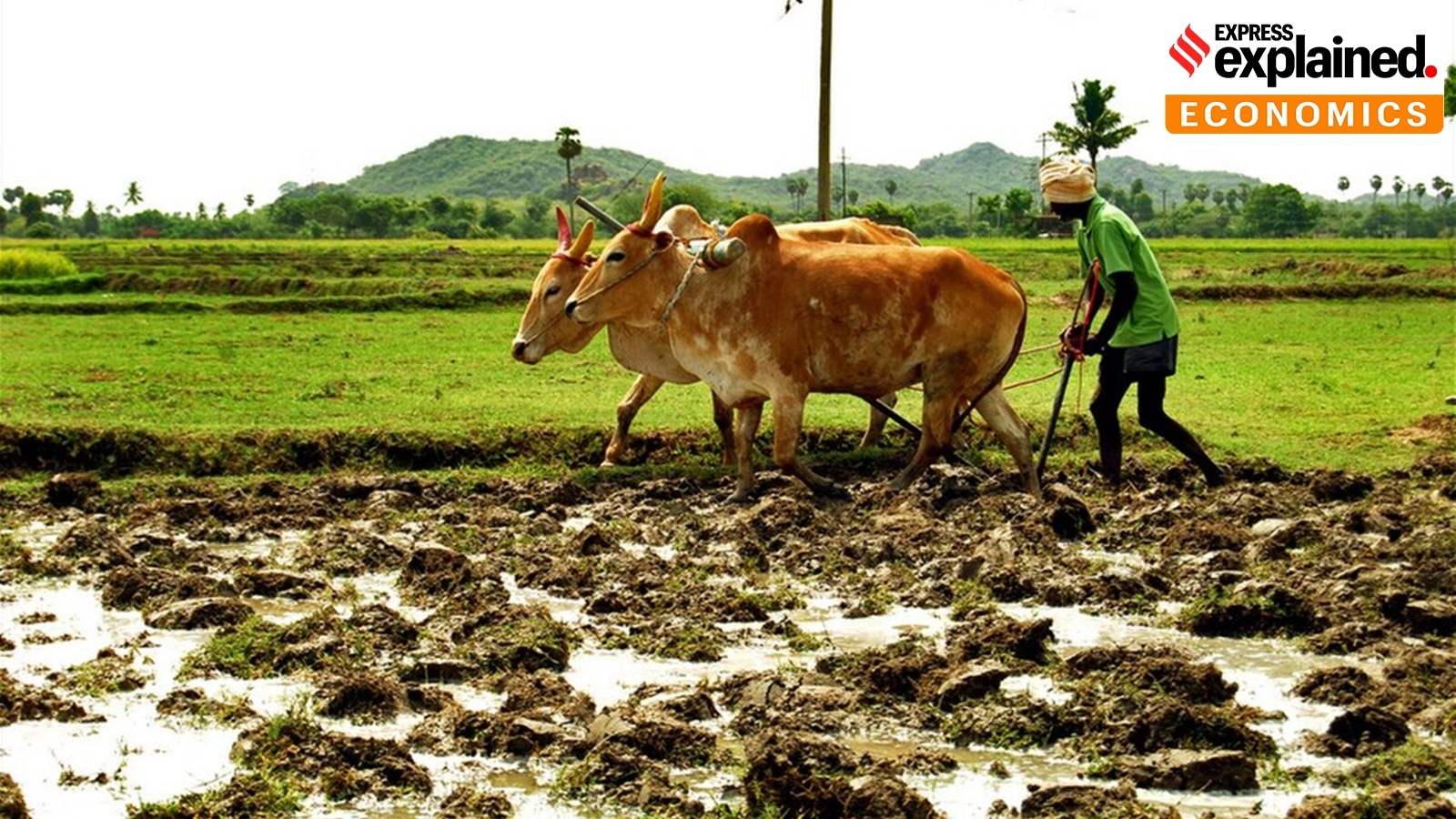 How Iran war is testing the limits of ‘fossilisation’ of Indian farms