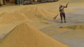 Punjab arhtiyas have intensified protests against the ‘up to 2.5%’ commission clause, demanding restoration of a fixed rate ahead of peak wheat procurement. (File Photo)