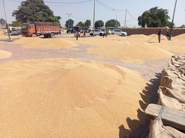 Mandi yard