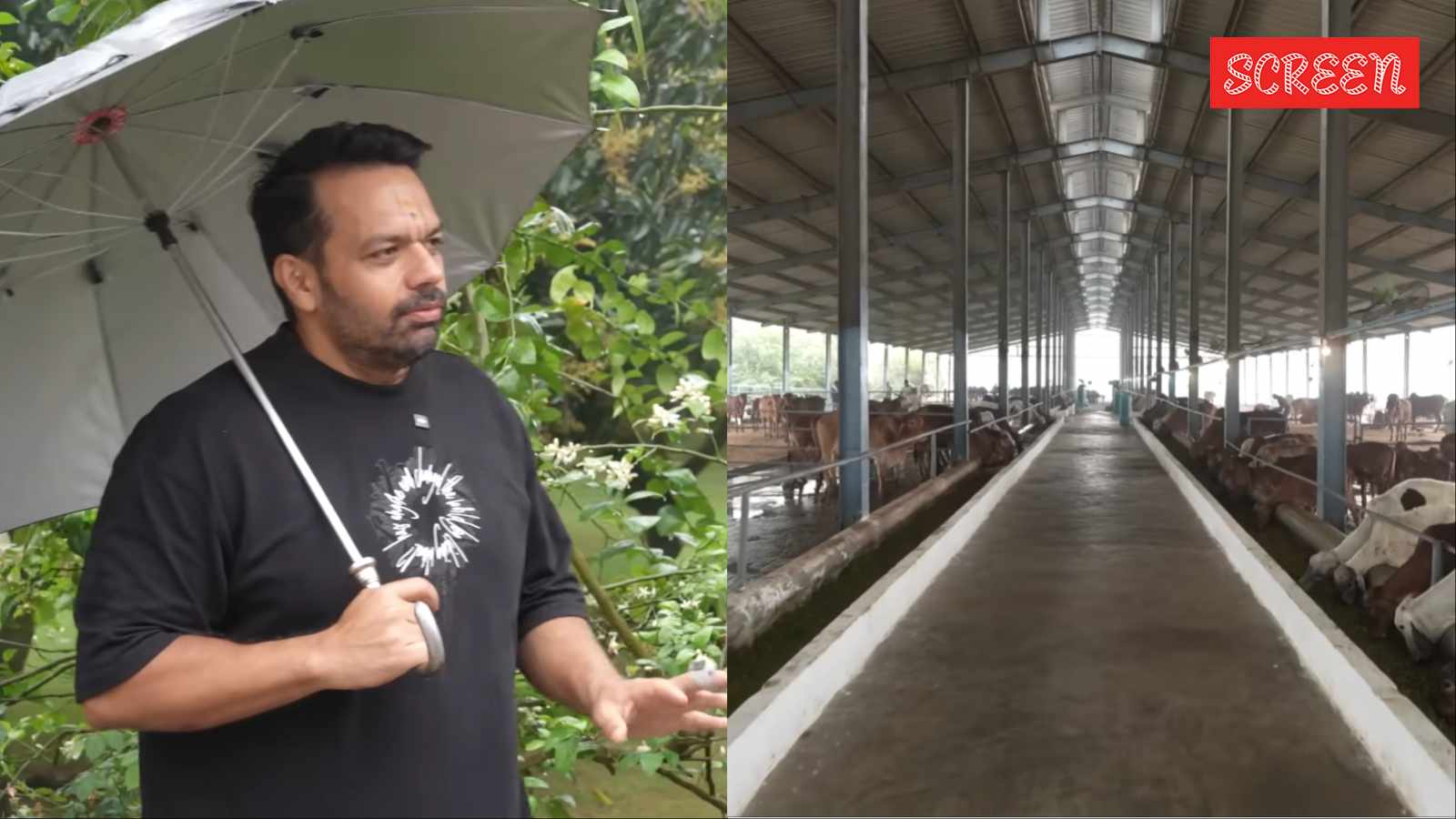 Inside Gaurav Taneja’s Rs 10 crore farmhouse spread across 10 acres: Walls made of cow dung, home for 200 cows 