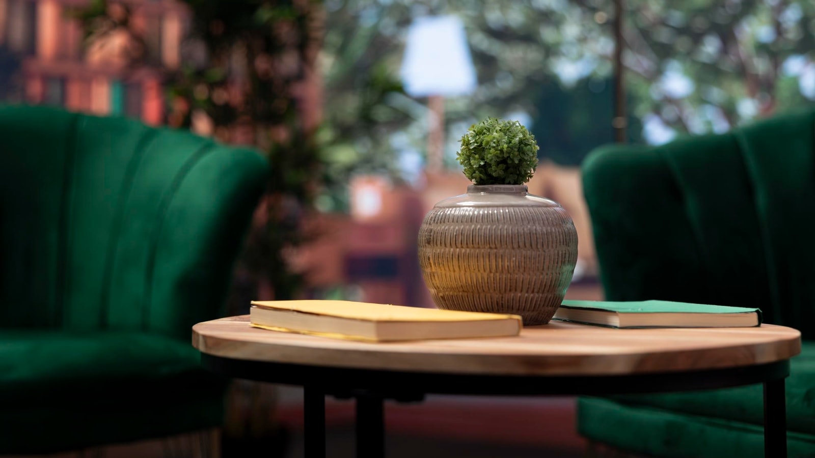 ‘No major construction required for a green home’: Budget-friendly tips for an eco-friendly space