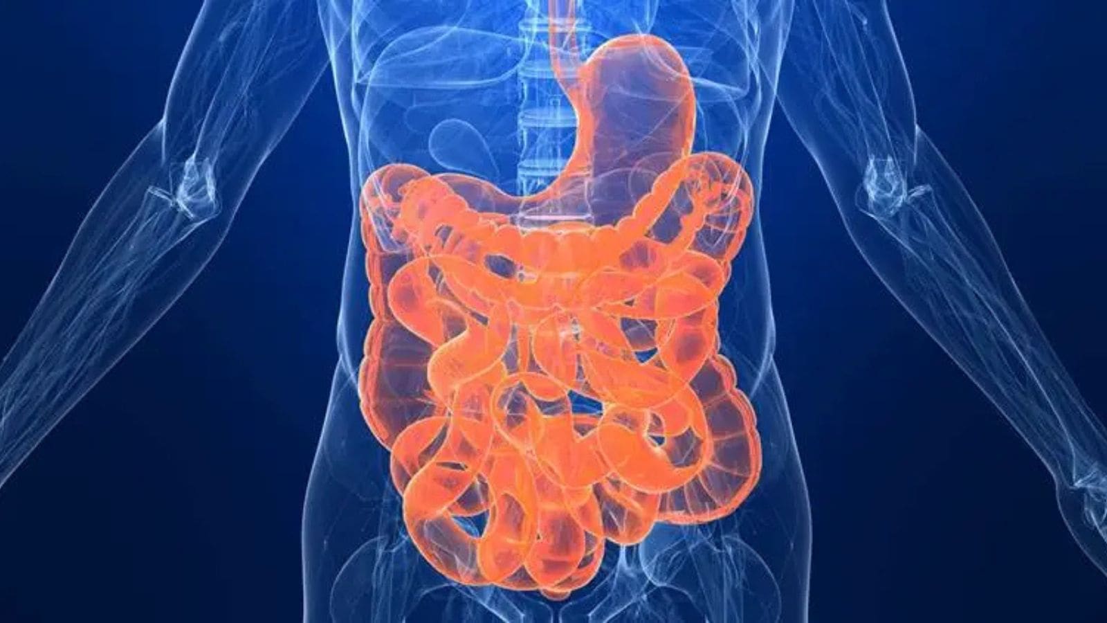 Can gut health reset help children with autism? What new research reveals