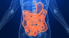 Gut bacteria are known to synthesise essential neuroactive compounds like serotonin, GABA, and dopamine.