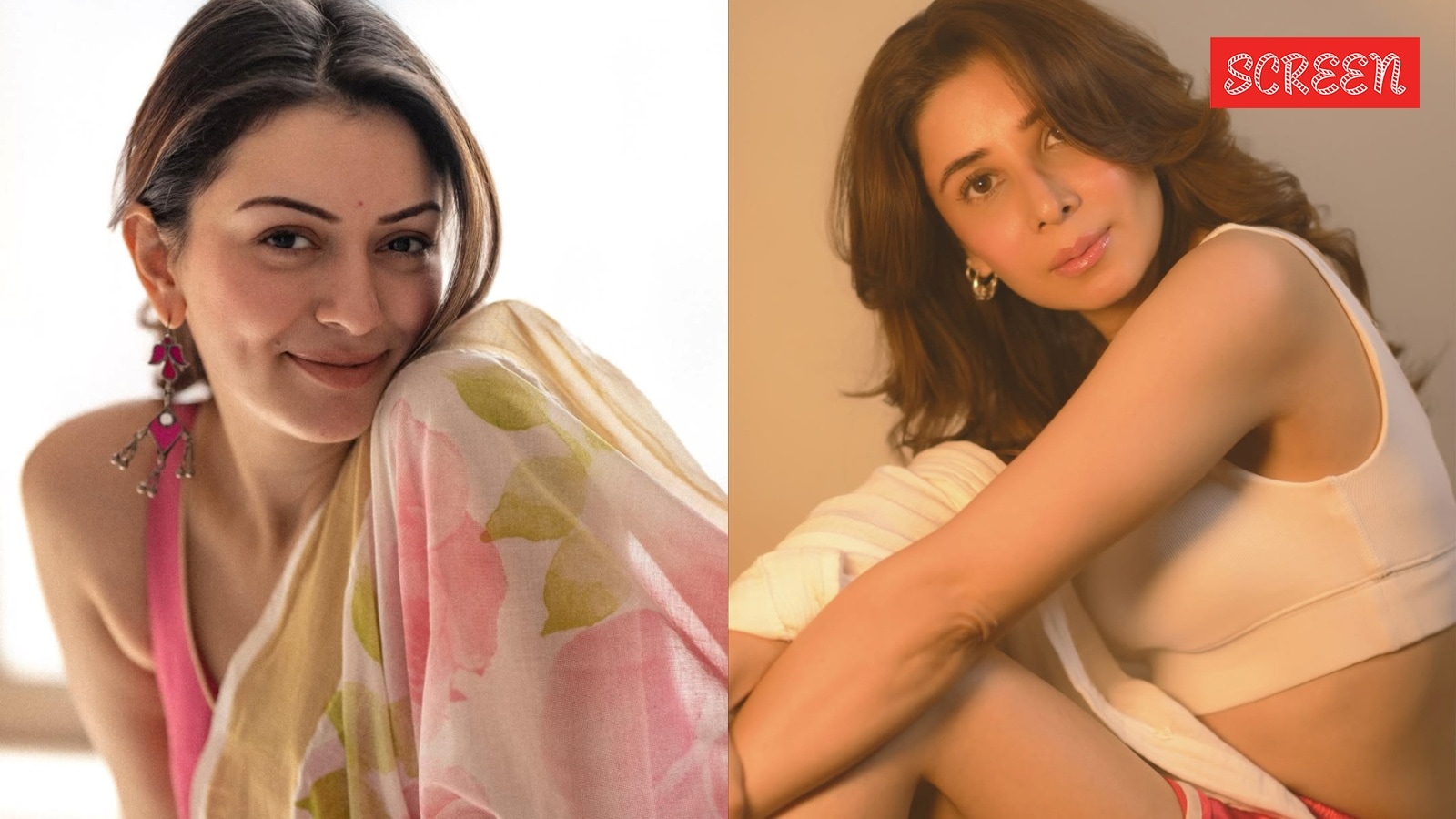 Hansika Motwani files Rs 2 crore defamation suit against sister-in-law Muskaan Nancy James over domestic violence claims