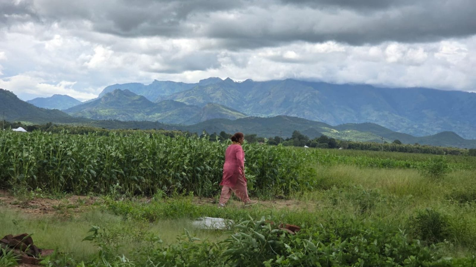 Haryana to Tanzania: With state govt’s help, farmers bridge the gap