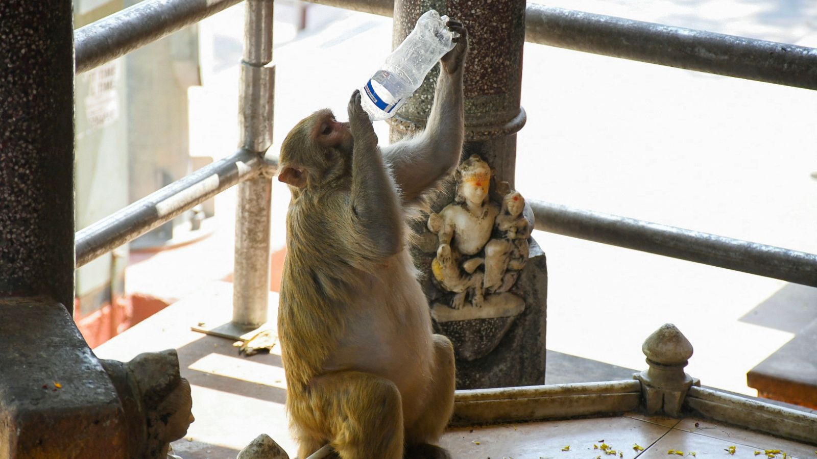 8 UP cities among country’s 30 hottest places, IMD issues 5-day heatwave alert