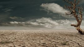 Strong El Niño to emerge in Pacific Ocean after July, says NOAA