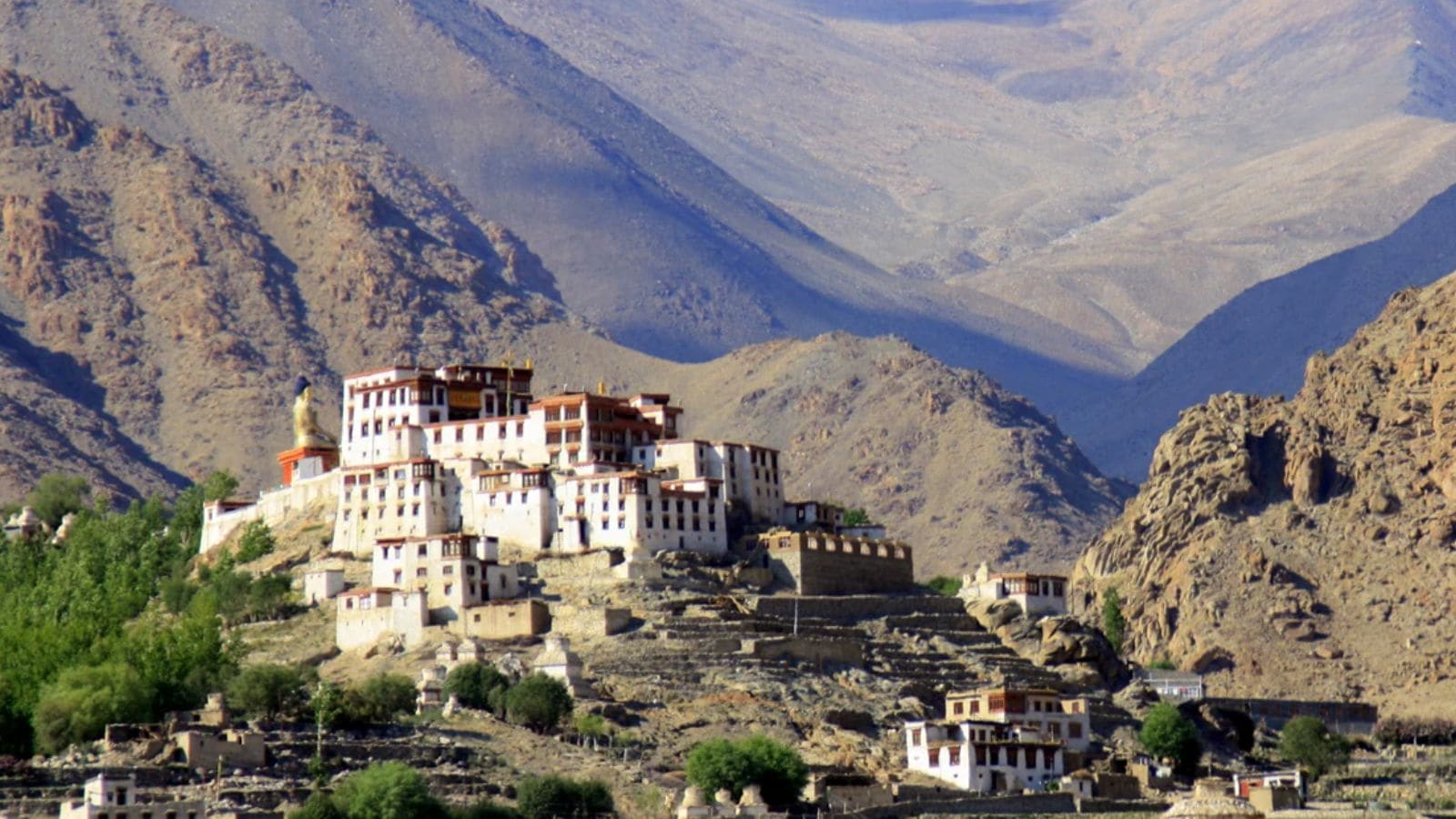 Why Leh and Kargil bodies are opposing proposal to privatise power in Ladakh
