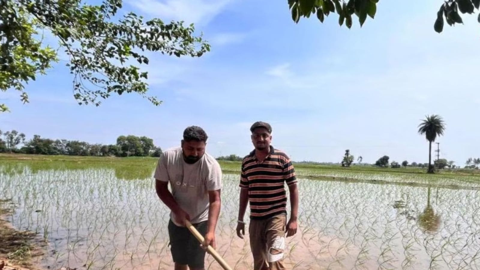 The Art of Baking: From Classic Bread to Artisan Pastries