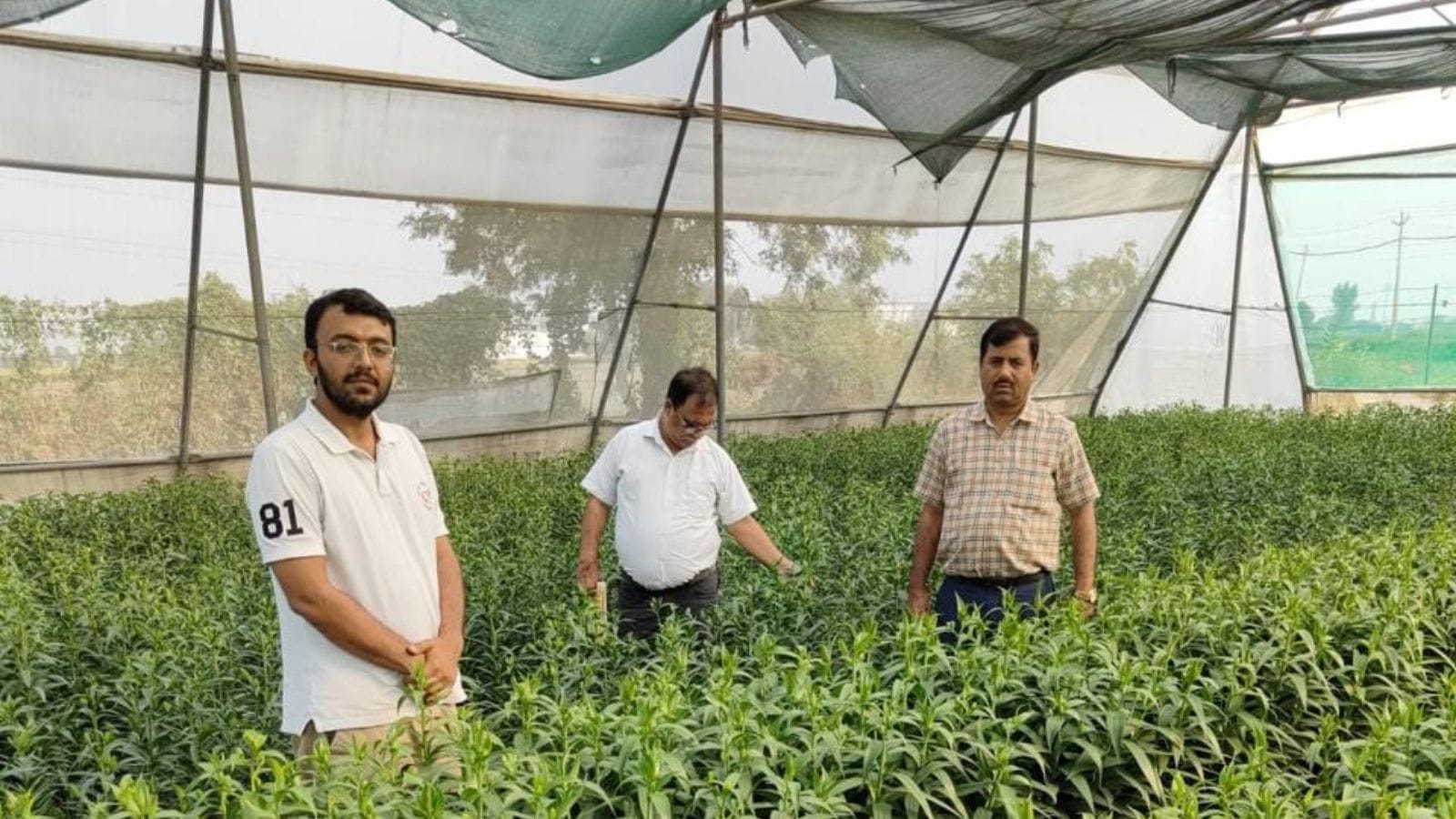 Sonipat scholar turns farmer, earns Rs 50 lakh per year through lily farming