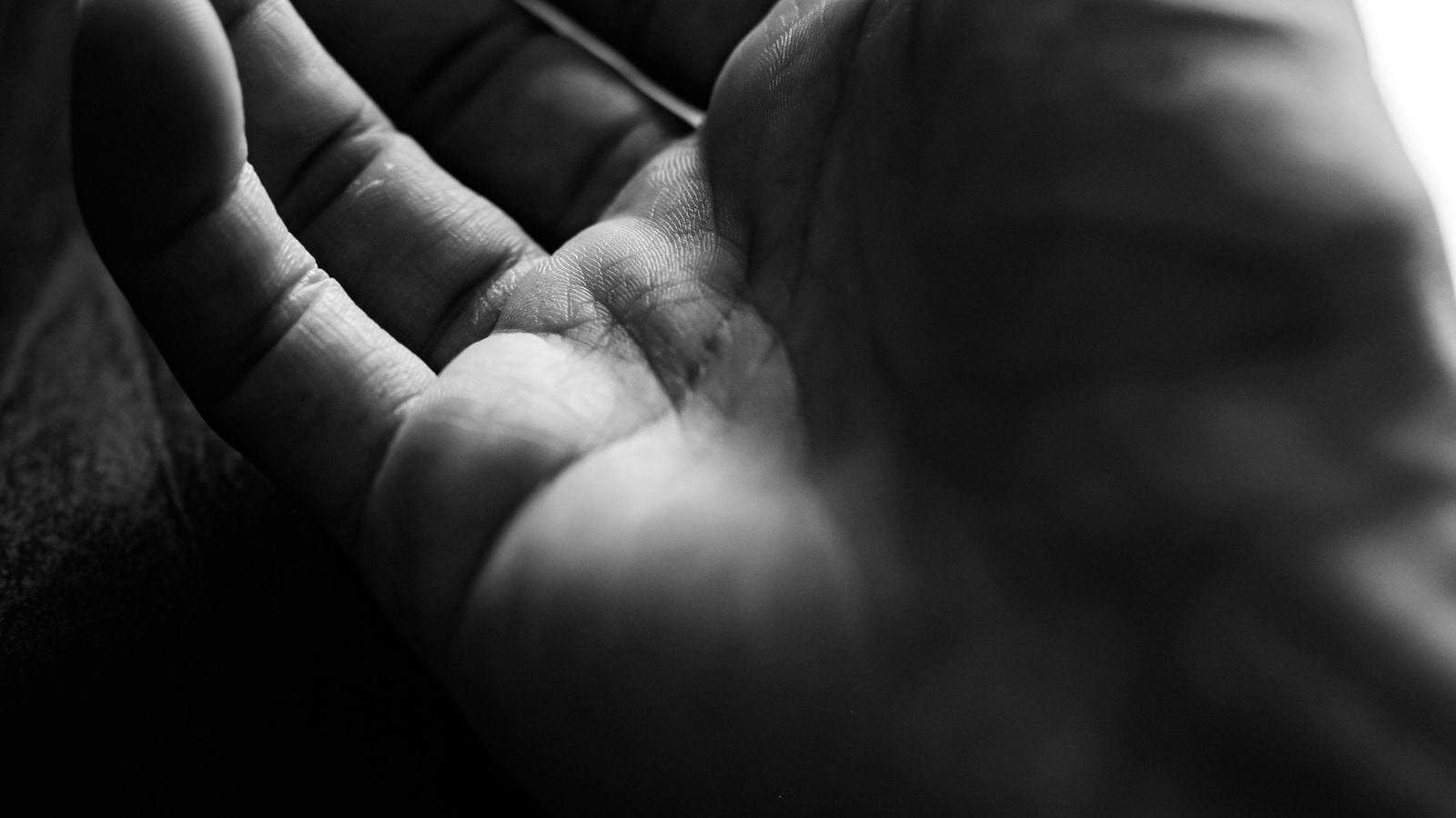 The Art of Baking: From Classic Bread to Artisan Pastries