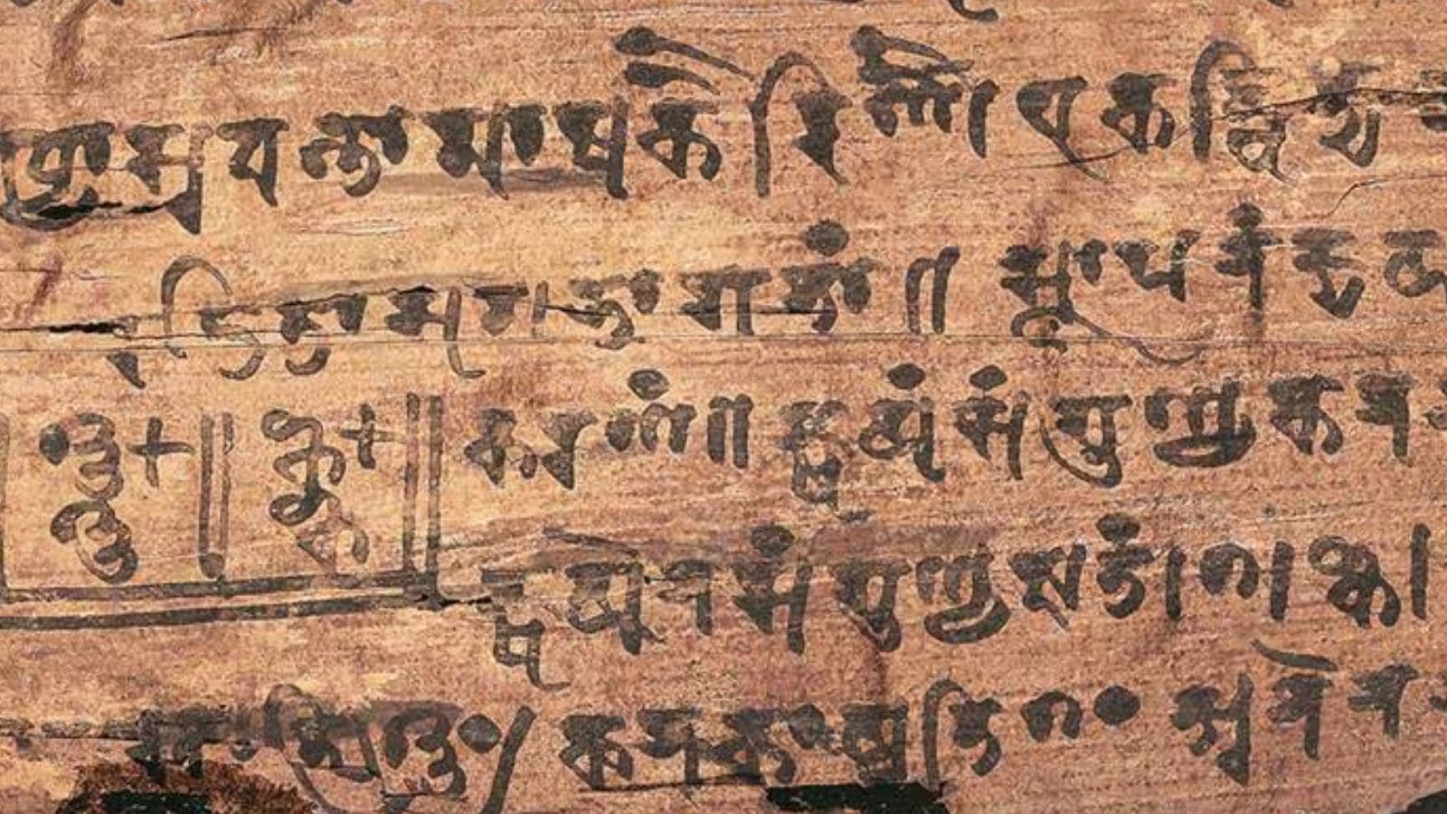 At IIAS workshop, experts stress need to conserve ancient scripts and manuscripts