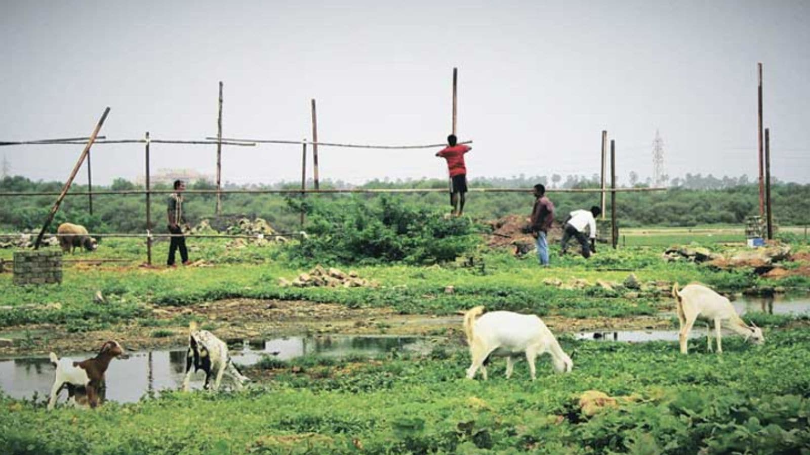 Third Mumbai: Land acquisition for ambitious MMRDA project begins, villagers’ consent sought