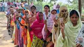 Bengal assembly
