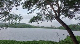 pashan lake