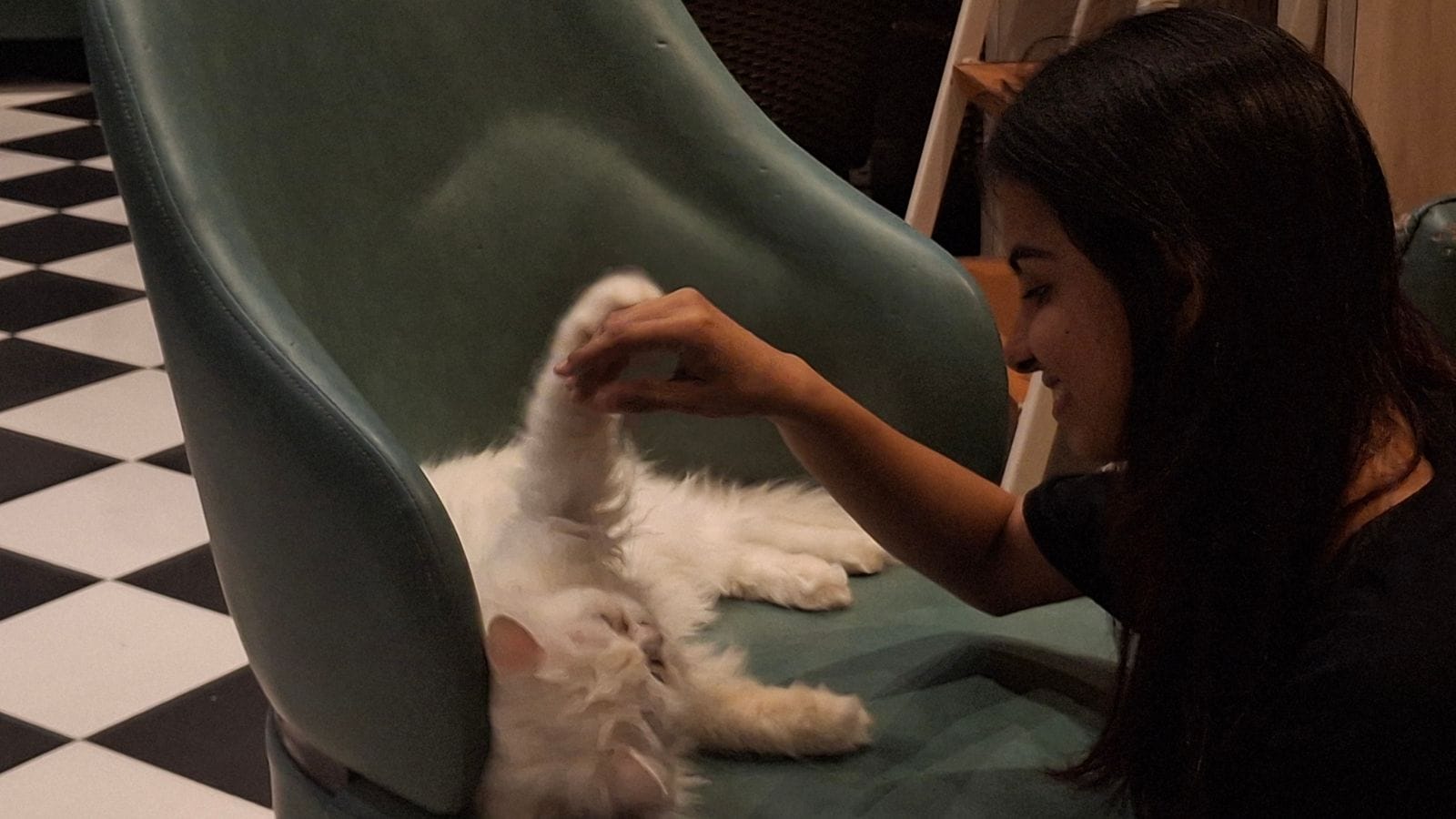 ‘They absorb the negativity’: Why young Pune residents are increasingly drawn to pet cafés