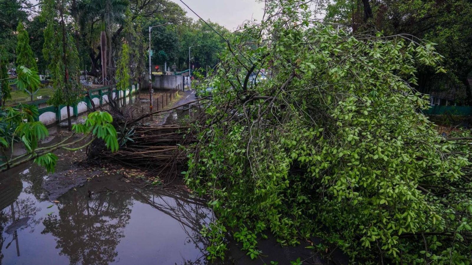 Heavy rains throw life out of gear in city, 60-year-old killed