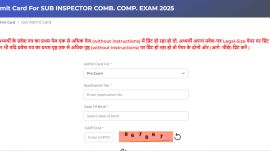 RPSC SI Admit Cards 2025 Released:
