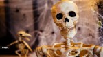 bones