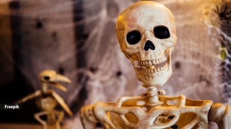 bones