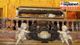 The holy relics of St Francis Xavier, kept for veneration by devotees during a previous exposition.
