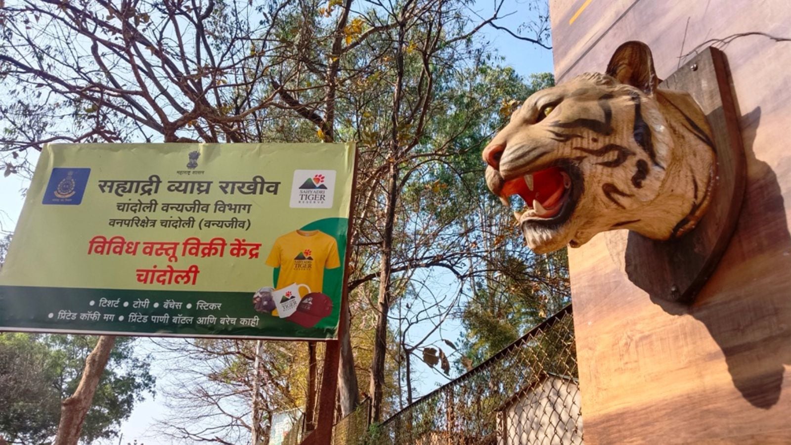 The Art of Baking: From Classic Bread to Artisan Pastries